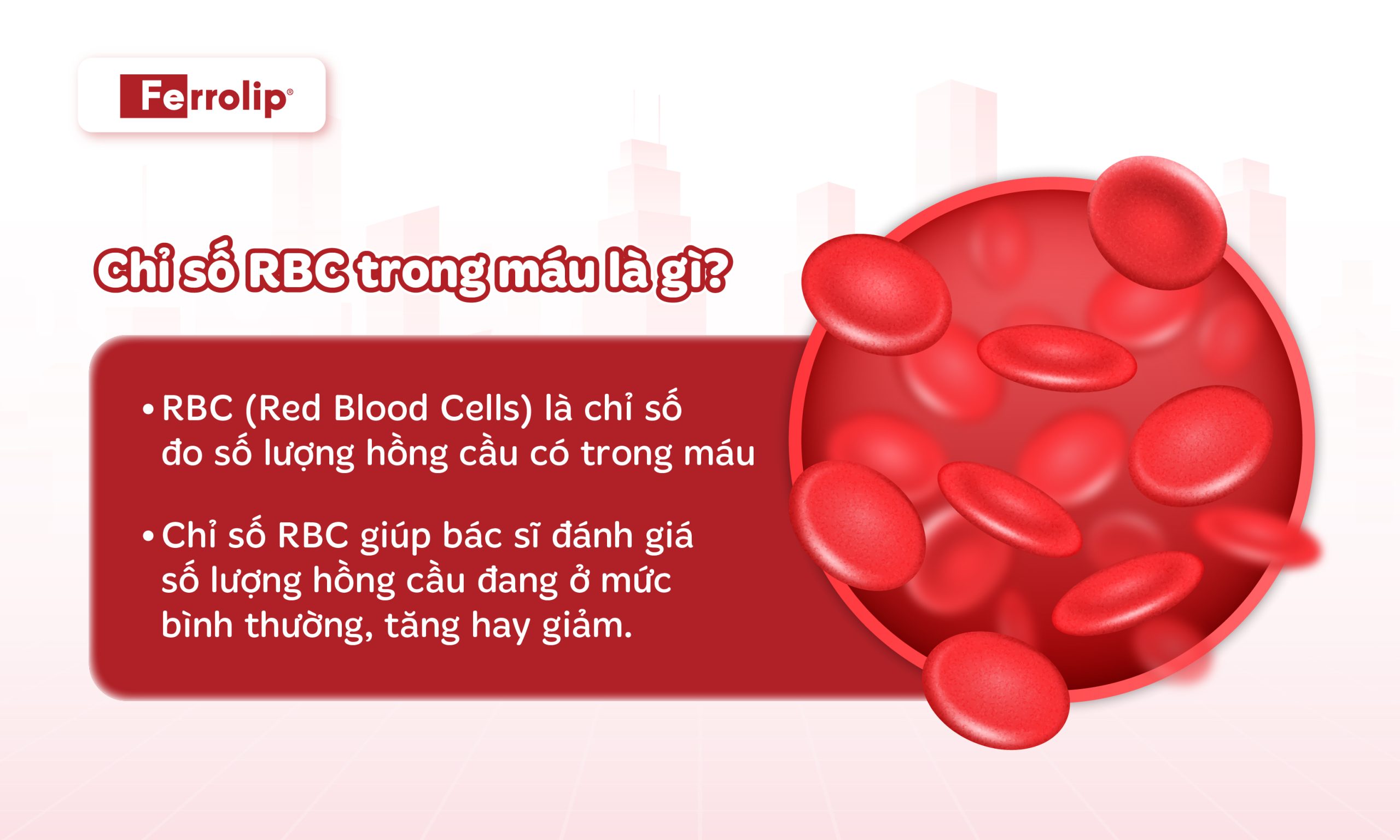 Chỉ số rbc trong máu là gì?