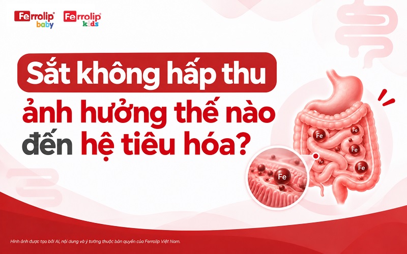 Sắt không hấp thu ảnh hưởng thế nào đến hệ tiêu hóa?
