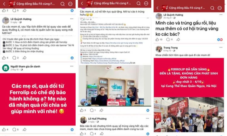 hoạt động group bầu fe